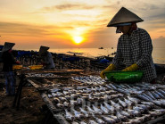 Bến cá lao xao ngôi chợ quê miền dân dã