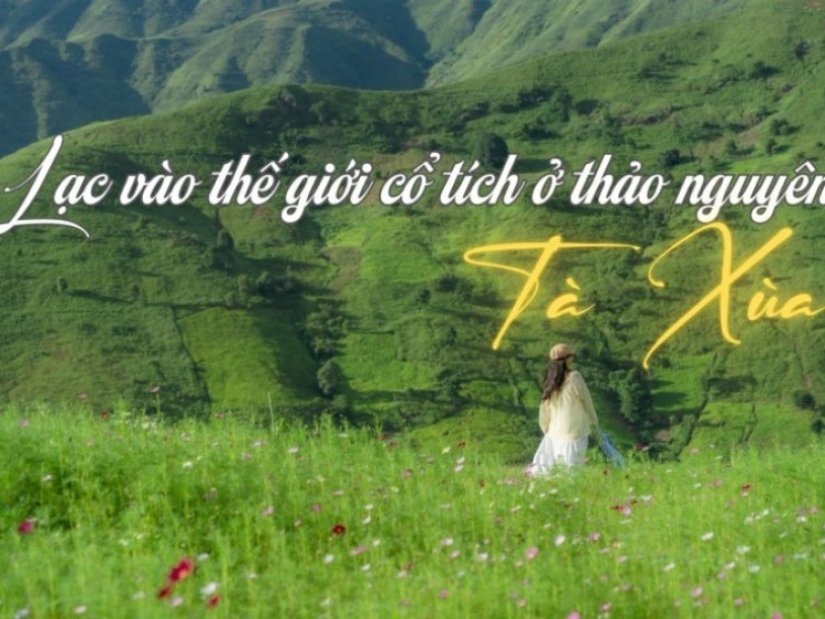 Lạc vào thế giới cổ tích ở thảo nguyên Tà Xùa