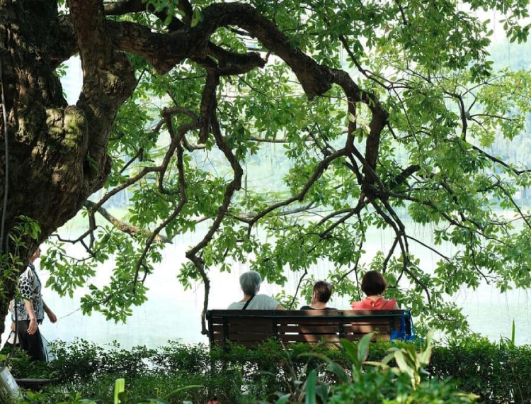 Hà Nội lọt top 7 điểm đến mùa thu đẹp nhất châu Á