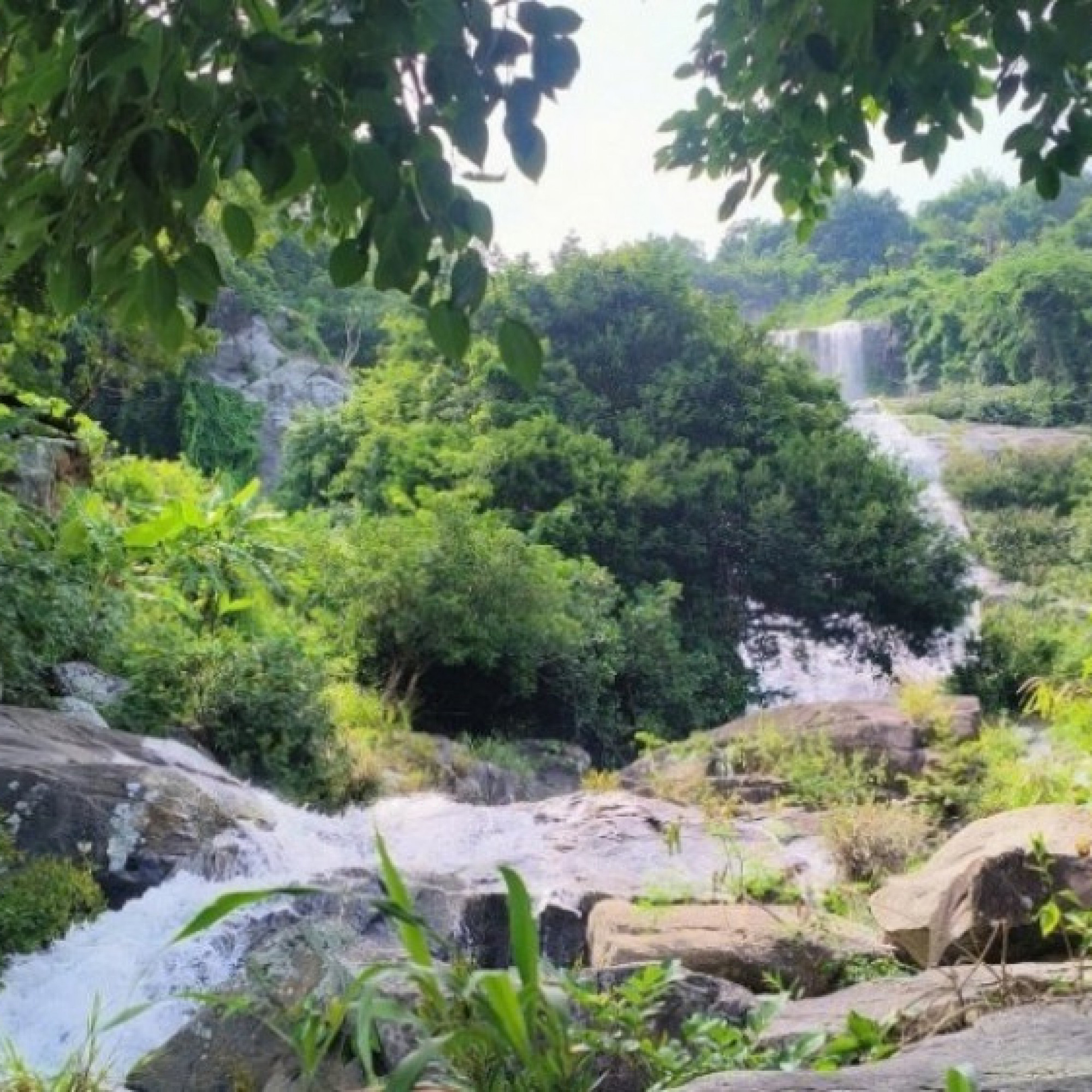 Khám phá thác Bay hùng vĩ giữa rừng già hoang sơ