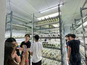  - TP.HCM phát triển du lịch bền vững qua mô hình nông nghiệp công nghệ cao