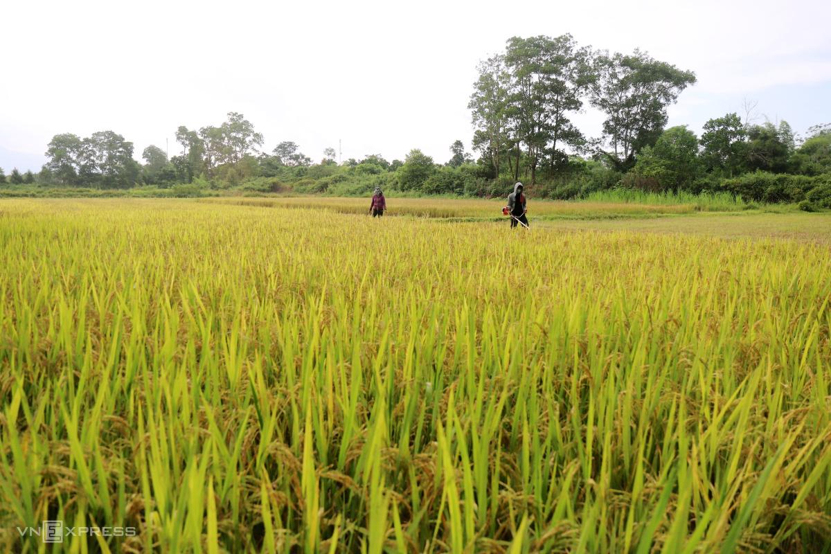 Cụm di tích in dấu vua Hàm Nghi - 2