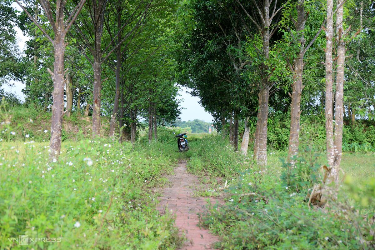 Cụm di tích in dấu vua Hàm Nghi - 5