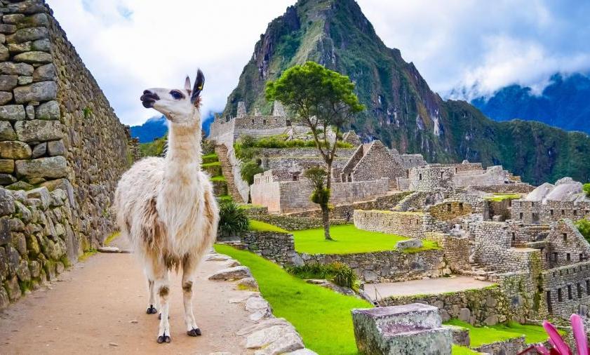 Bạn có lời mời khám phá từ tàn tích cổ Machu Picchu - 2