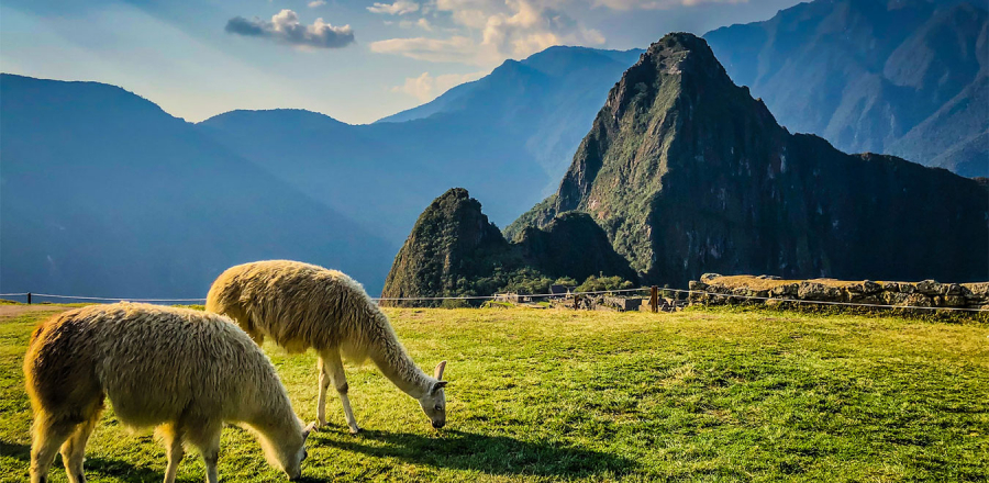 Bạn có lời mời khám phá từ tàn tích cổ Machu Picchu - 4