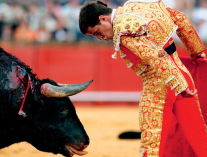 Giải trí - Đấu bò tót - trò man rợ nhưng vinh quang ở Tây Ban Nha