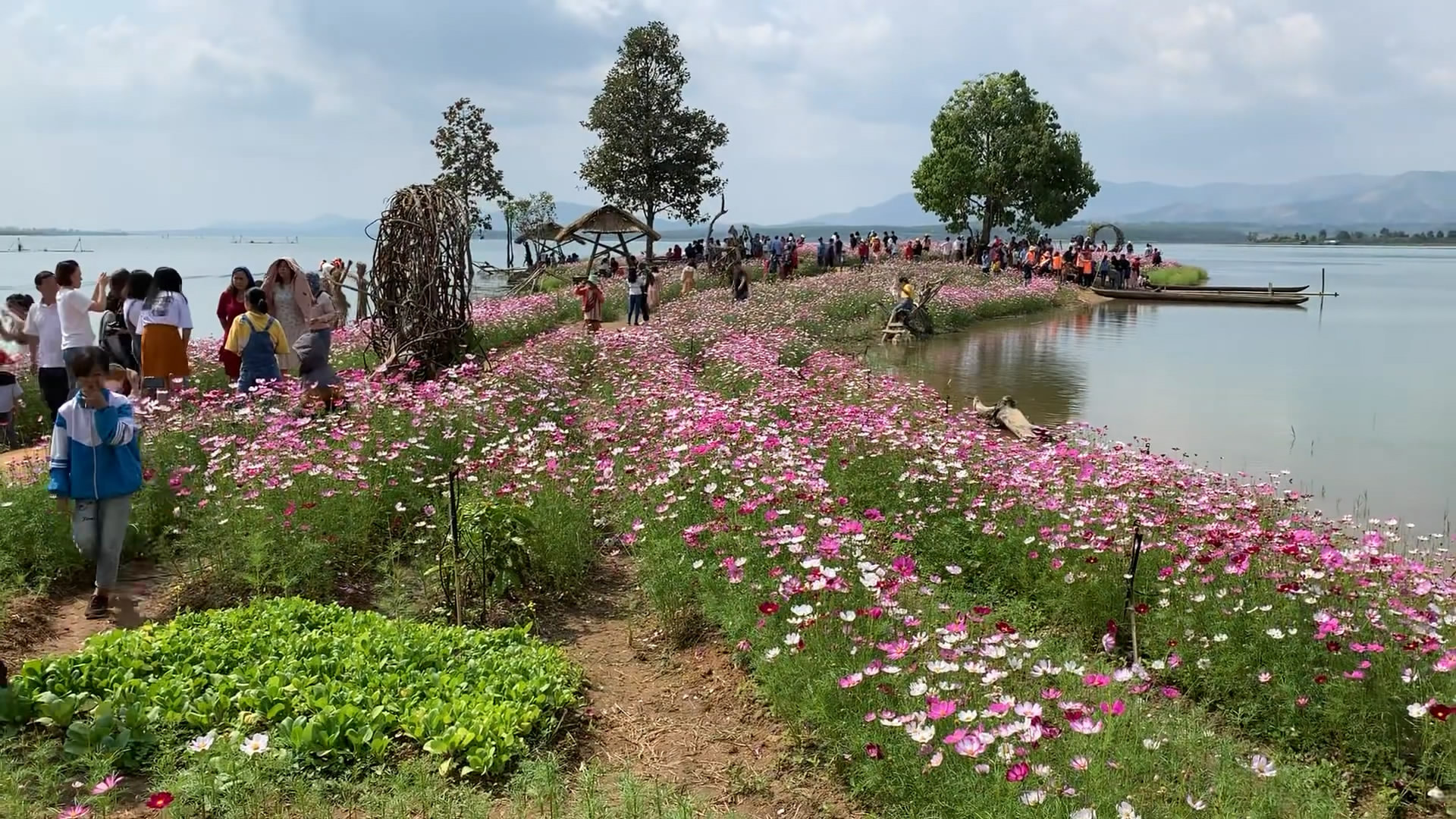Đảo hoa Kon Trang Long Loi - Có nơi nào đẹp hơn? - 2