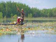 Mùa nước nổi ở An Giang