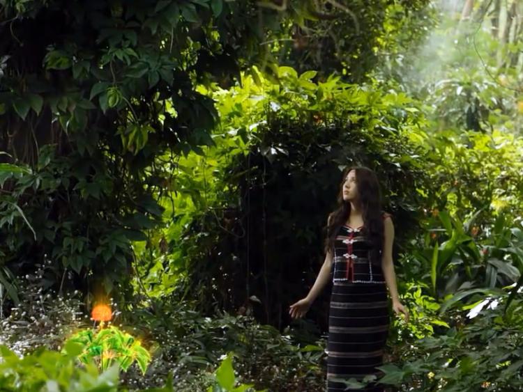 Lên núi xem báu vật của đồng bào dân tộc, cả thế giới mơ ước