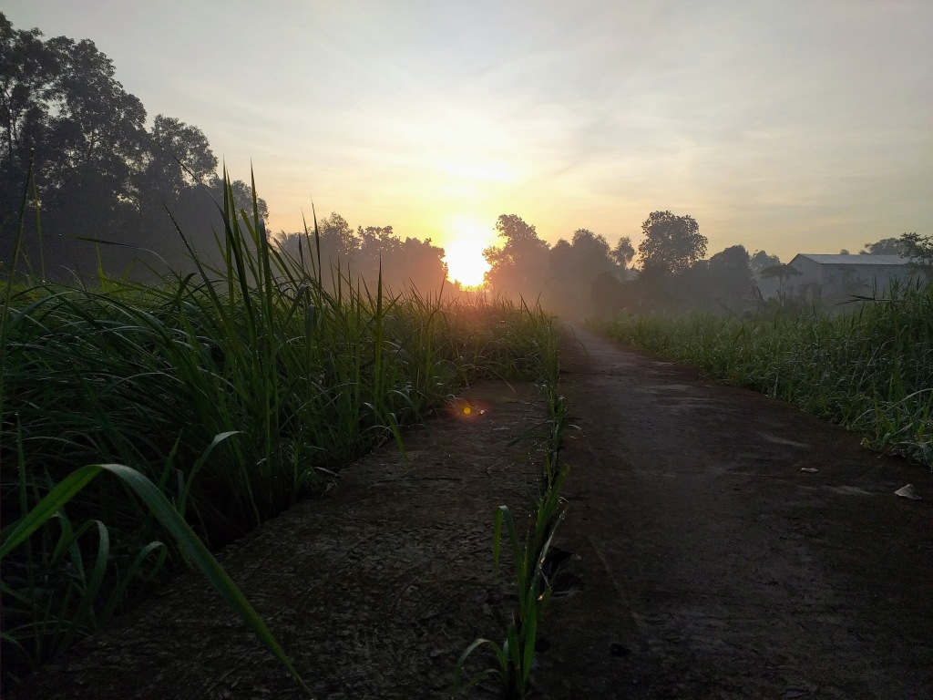 Chạy bộ sáng sớm ngắm Sài Gòn thức giấc - 4