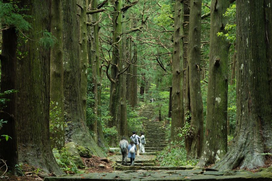 Người Nhật và văn hóa tắm rừng Shinrin-yoku - 8