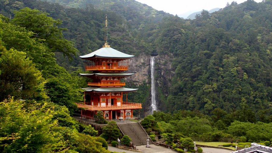 Người Nhật và văn hóa tắm rừng Shinrin-yoku - 9