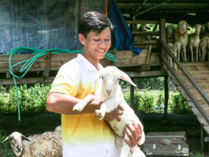 Chuyện hay - Du học sinh Israel lên rừng trồng nho, nuôi cừu, làm du lịch bền vững