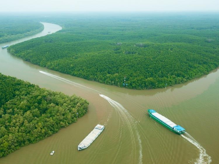 Tour mới đến Cần Giờ: Đi tàu cao tốc, thưởng ngoạn vẻ đẹp sông nước Sài Gòn
