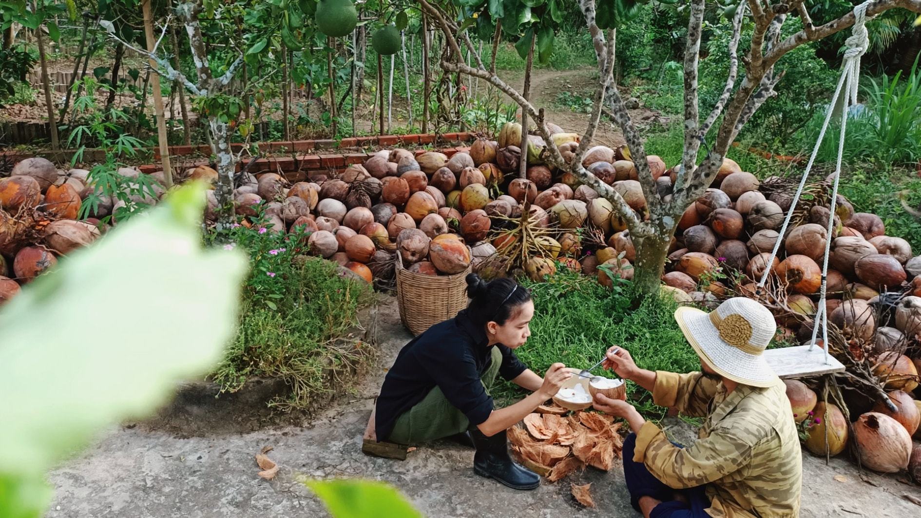 Loại dừa không có nước, mềm dẻo thơm như kem, giá đến 400 ngàn/trái ở Trà Vinh - 5