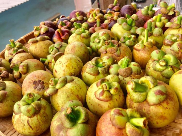 Đặc sản măng cụt xanh