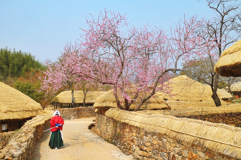 Vẻ đẹp như tranh của ngôi làng pháo đài cổ hơn 700 năm ở xứ Kim chi - 6