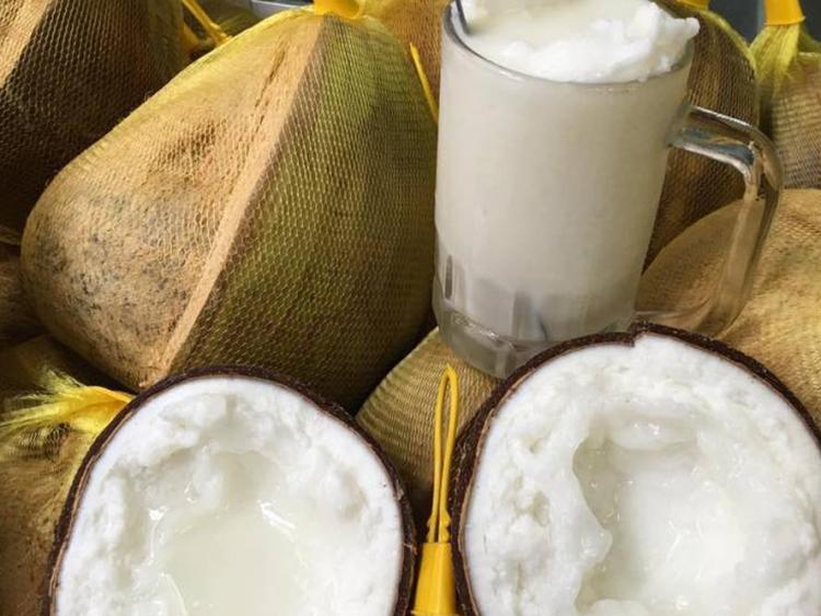 Đặc sản dừa sáp xuất ngoại, giá sang 600.000 đồng/quả ở Australia
