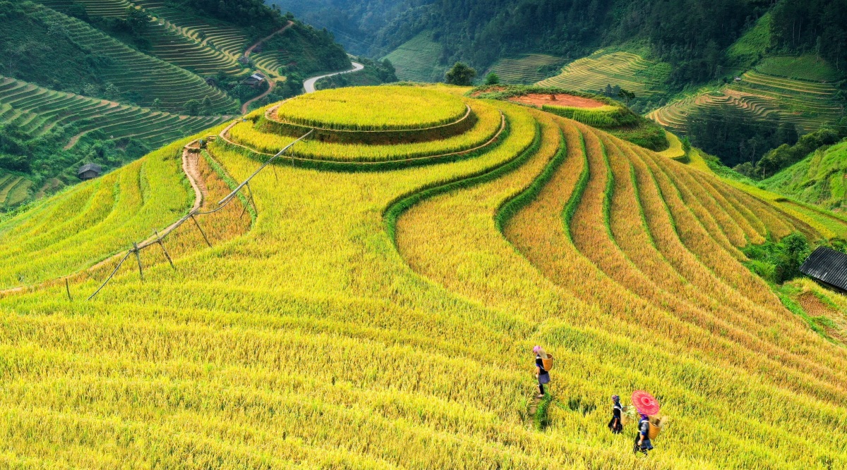 Cảnh sắc Việt Nam qua góc chụp trên cao - 2
