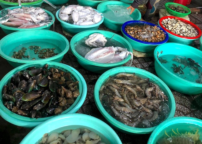 Người trẻ leo núi, đón gió biển hậu giãn cách - 3