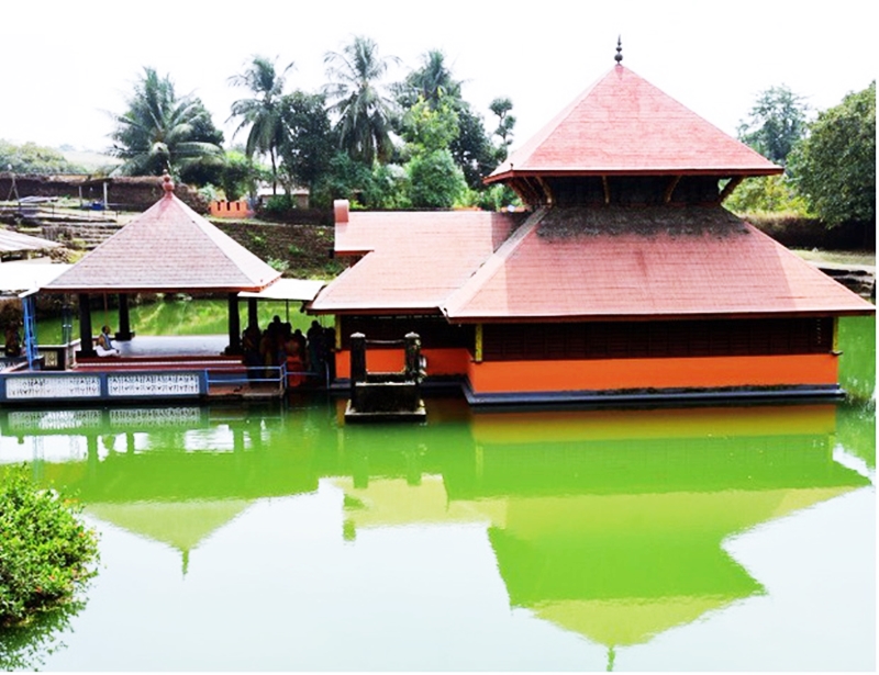 Kỳ lạ con cá sấu “quy y cửa Phật” suốt 70 năm trong ngôi đền Ấn Độ - 1