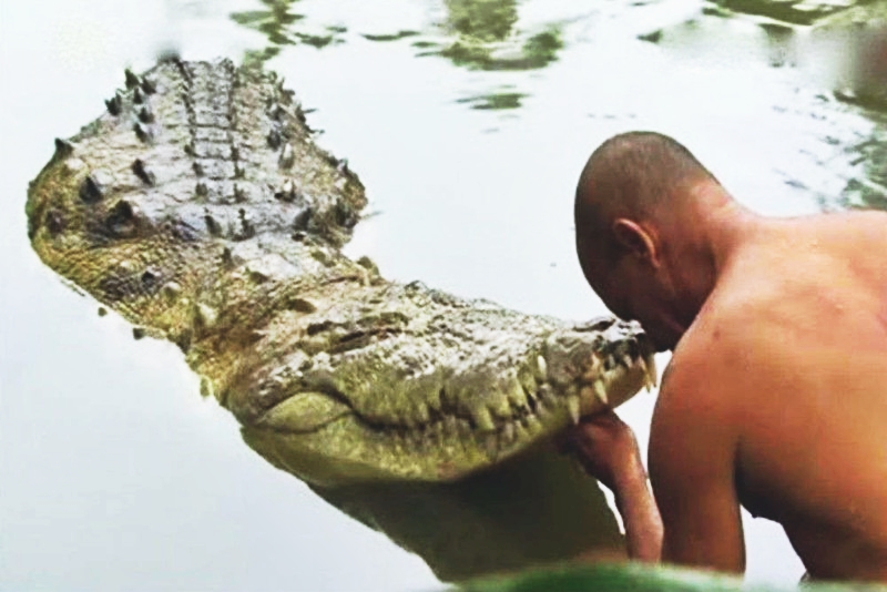 Kỳ lạ con cá sấu “quy y cửa Phật” suốt 70 năm trong ngôi đền Ấn Độ - 4