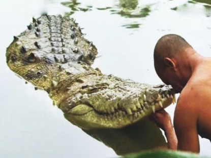Chuyện hay - Kỳ lạ con cá sấu “quy y cửa Phật” suốt 70 năm trong ngôi đền Ấn Độ