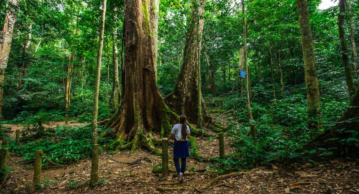 Có gì đặc biệt ở vườn quốc gia Cúc Phương mà được vinh danh hàng đầu châu Á 2021 - 2