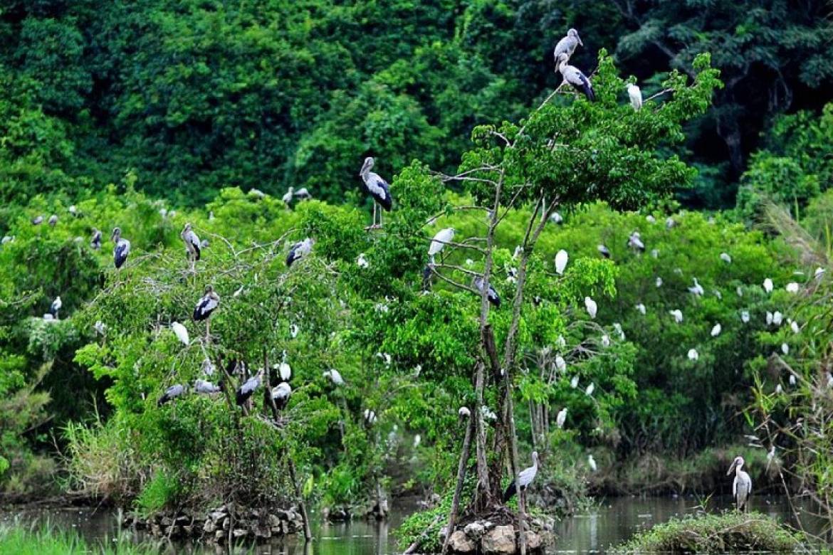 Có gì đặc biệt ở vườn quốc gia Cúc Phương mà được vinh danh hàng đầu châu Á 2021 - 9