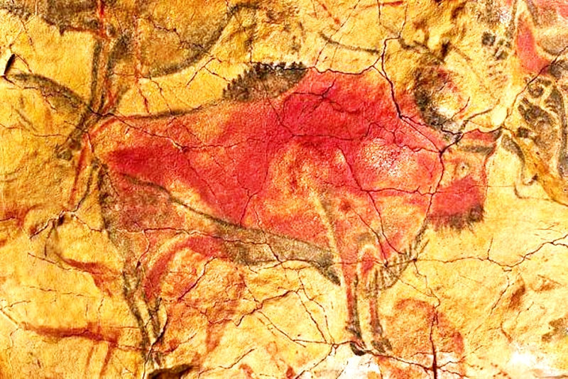 Bí ẩn bức tranh hang động gần 65 ngàn năm của người tối cổ đã tuyệt chủng - 2