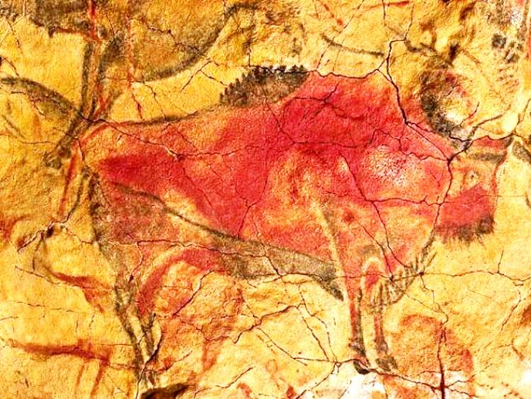 Bí ẩn bức tranh hang động gần 65 ngàn năm của người tối cổ đã tuyệt chủng