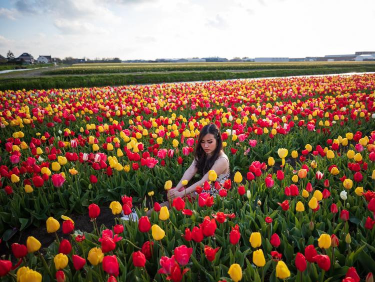 Theo chân cô gái Việt, khám phá những mùa hoa xao xuyến ở Hà Lan