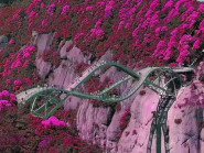 Cầu uốn lượn giữa 2 vách núi cao 140 mét ở Trung Quốc gây 