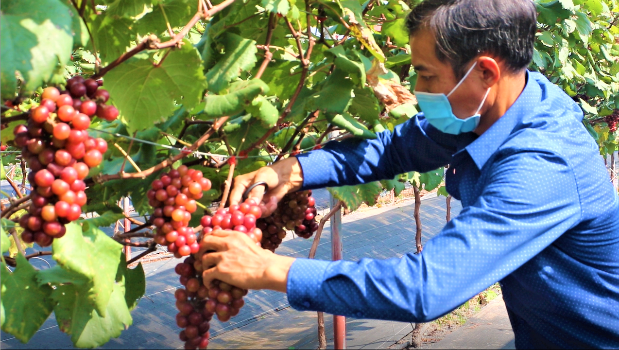 Nông dân "bỏ túi" tiền triệu nhờ du lịch trải nghiệm - 3