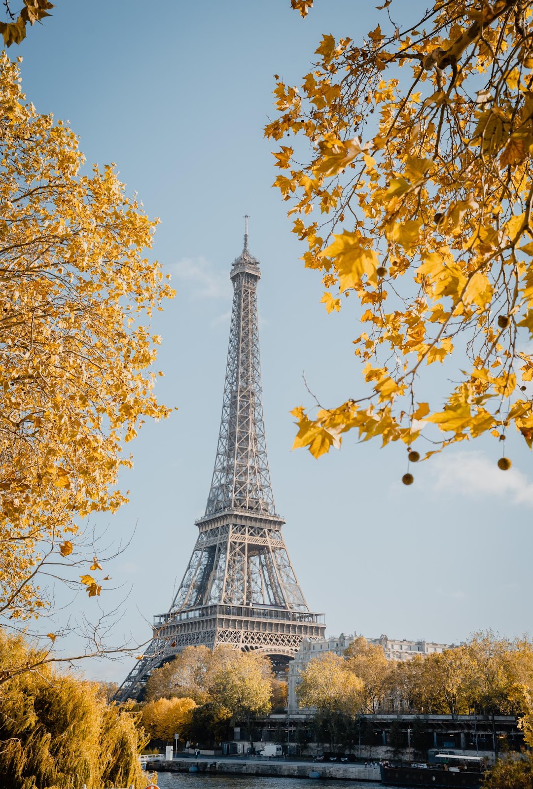 Thu vàng Paris mùa thay lá, cảnh bình yên 'như chưa từng có Cô Vy' - 2