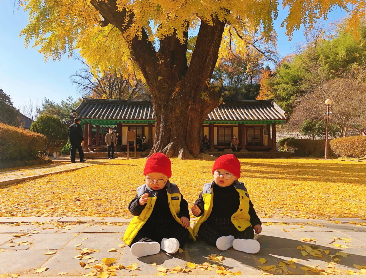 Mẹ Việt xinh đẹp cùng cặp song sinh lai Hàn 'gây bão' với loạt ảnh du lịch cực chất