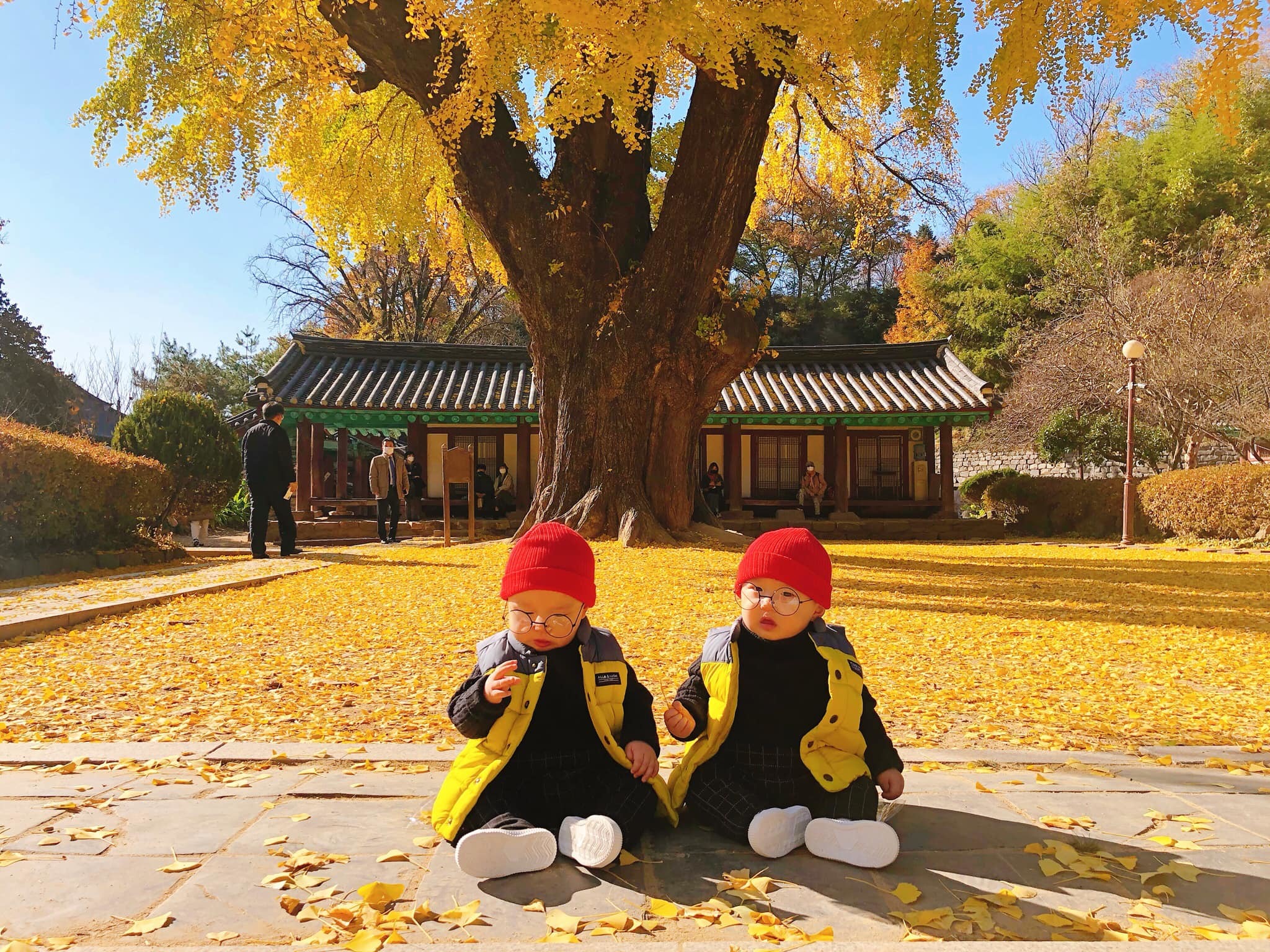Mẹ Việt xinh đẹp cùng cặp song sinh lai Hàn 'gây bão' với loạt ảnh du lịch cực chất - 14