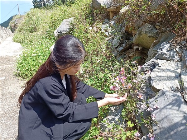 Sơn Nhật - loài hoa của đá trên vùng Lục Khu - 1