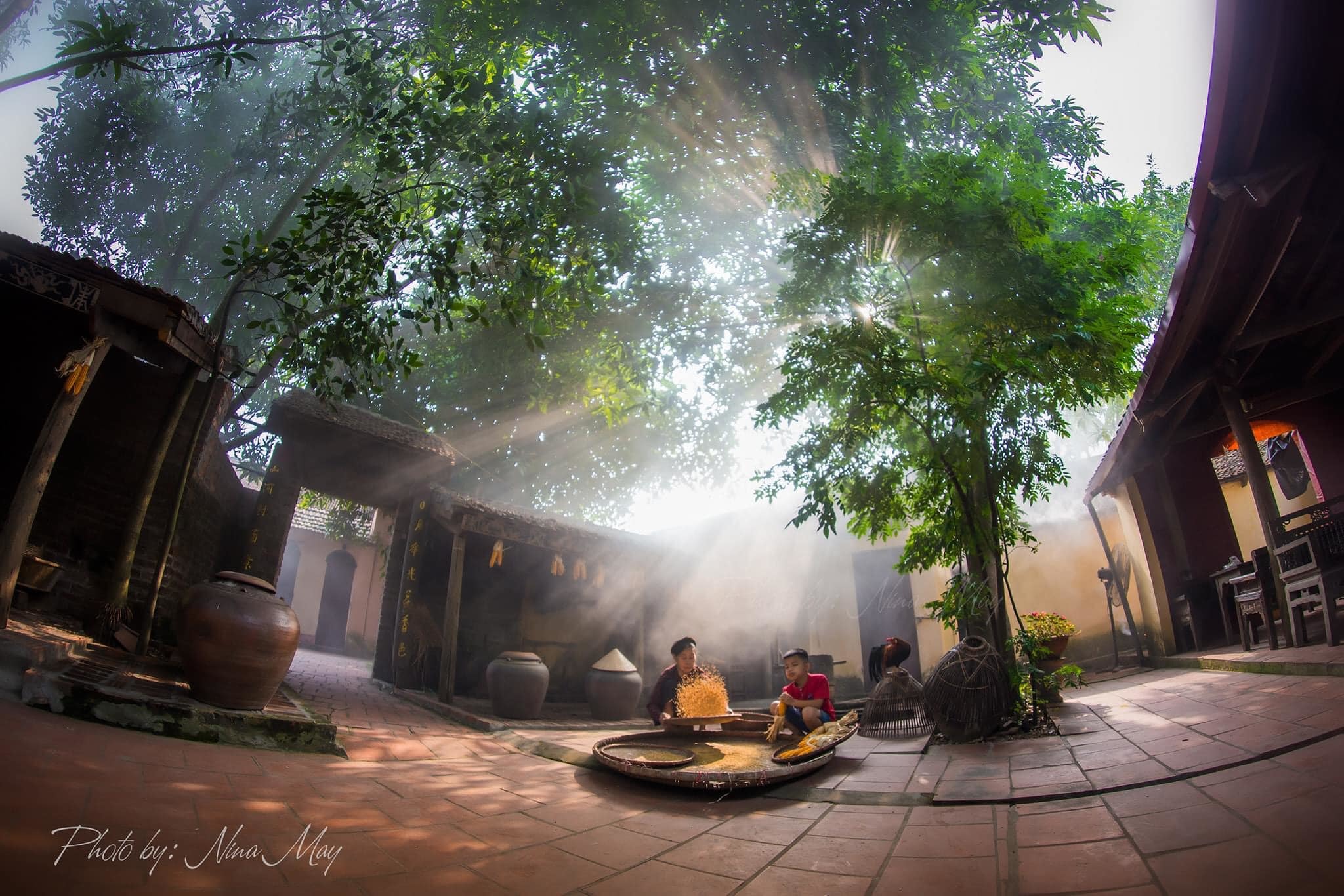Về làng cổ Đường Lâm, ngắm cảnh yên bình khiến lòng người xao xuyến - 4