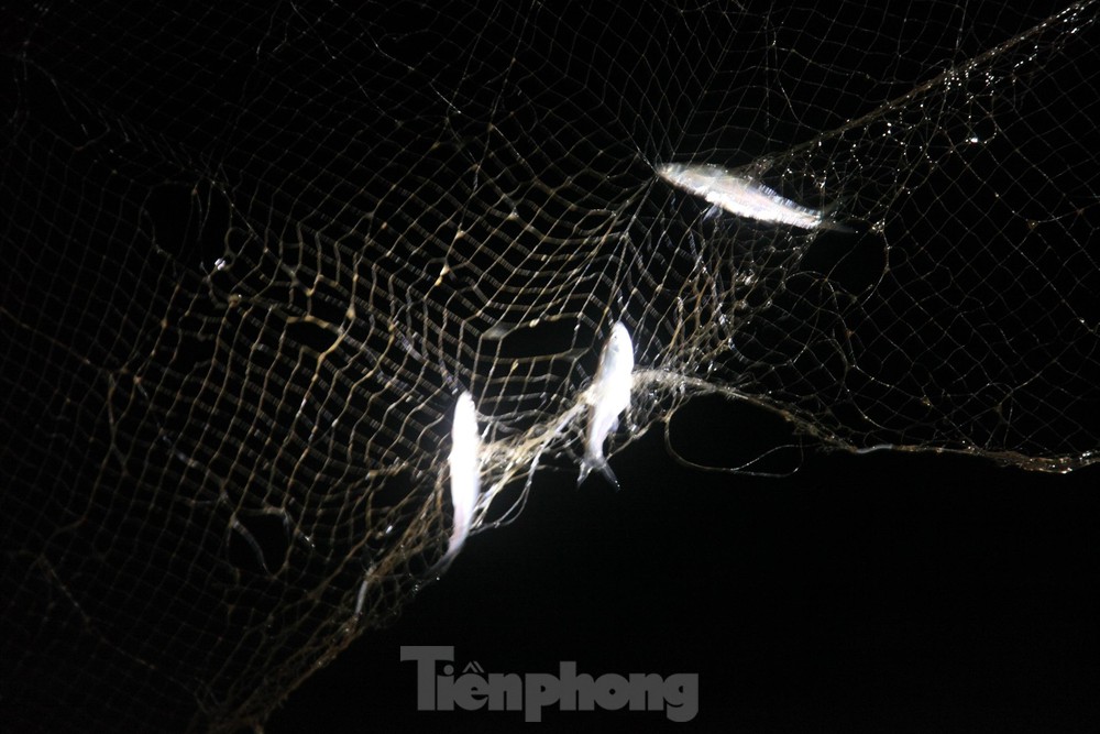 Trắng đêm săn cá trên hồ Cấm Sơn - 9