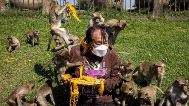 Bữa tiệc 2 tấn rau quả dành cho khỉ trong lễ hội đặc biệt ở Thái Lan - 6