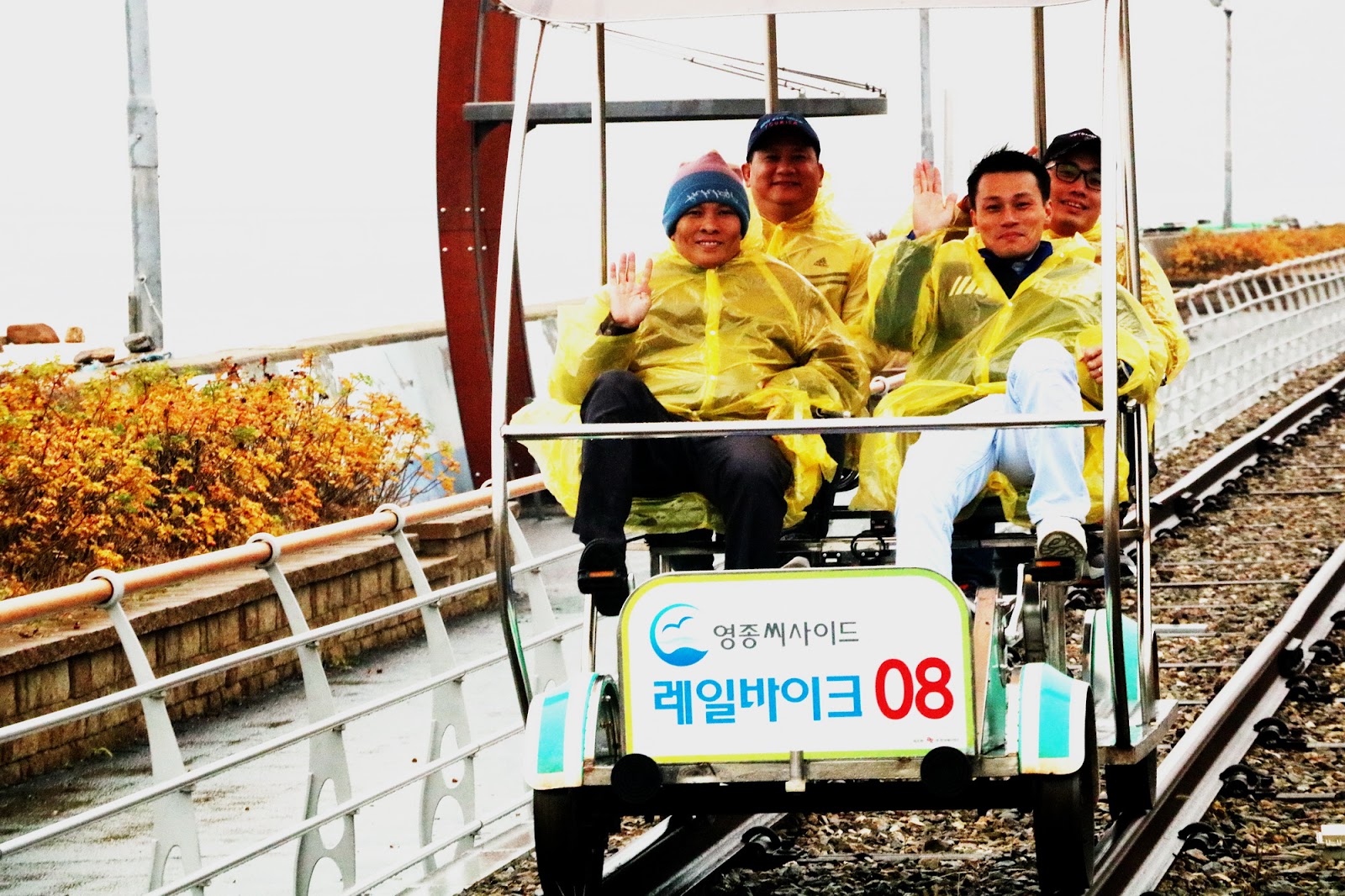 Độc đáo đạp xe trên đường ray xe lửa ở Hàn Quốc - 3