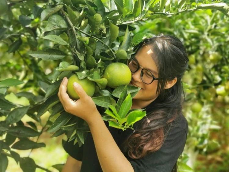Kẹt lại Việt Nam vì dịch, người phụ nữ mua đất trồng trái cây sạch