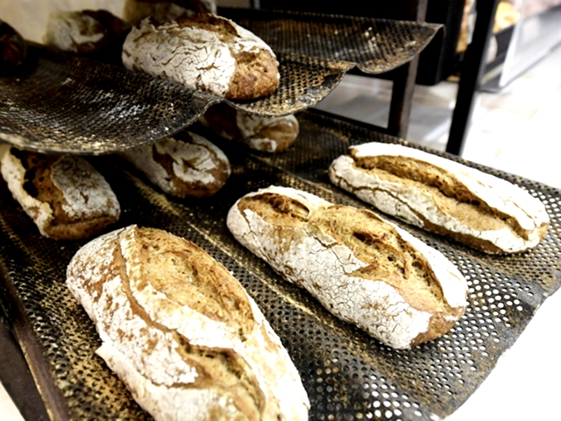 Độc đáo những chiếc bánh mì làm từ côn trùng đầu tiên trên thế giới - 1