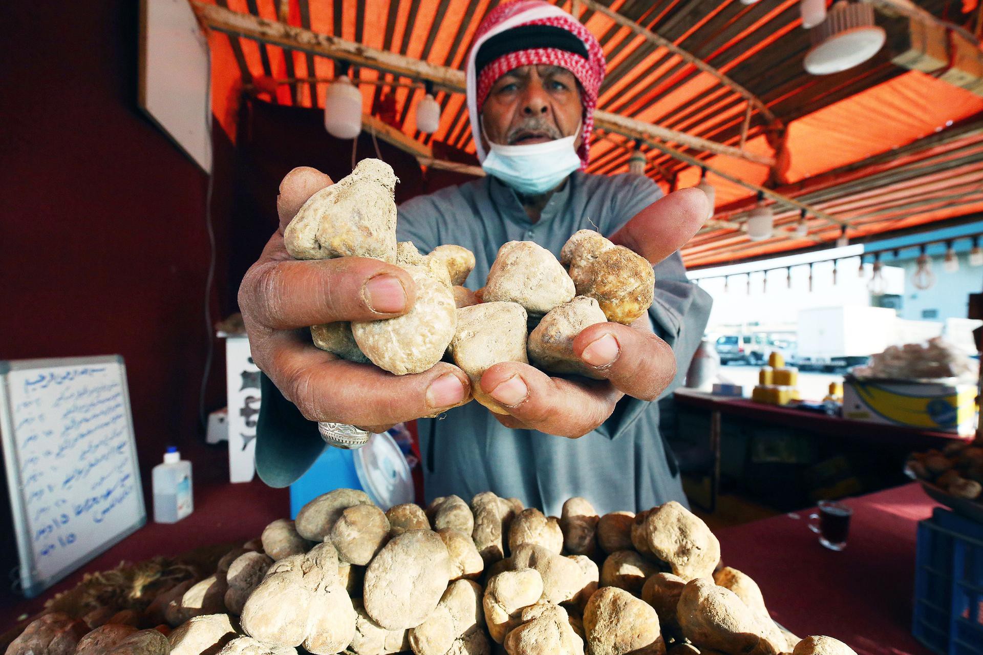 Loại nấm truffle mọc trên sa mạc ở Trung Đông - 5