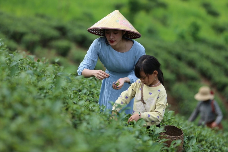 Du lịch nông thôn sẽ là chủ lực của du lịch Việt Nam sau đại dịch - 1