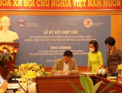 Chuyển động - Hội An là thành phố đầu tiên ở Việt Nam nói không với tiêu thụ thịt chó, mèo