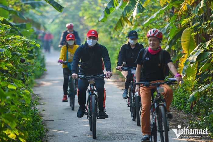 Du khách chi tiền triệu đạp xe ngắm vườn chuối, ruộng rau giữa Hà Nội - 1