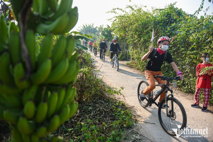 Du khách chi tiền triệu đạp xe ngắm vườn chuối, ruộng rau giữa Hà Nội - 9