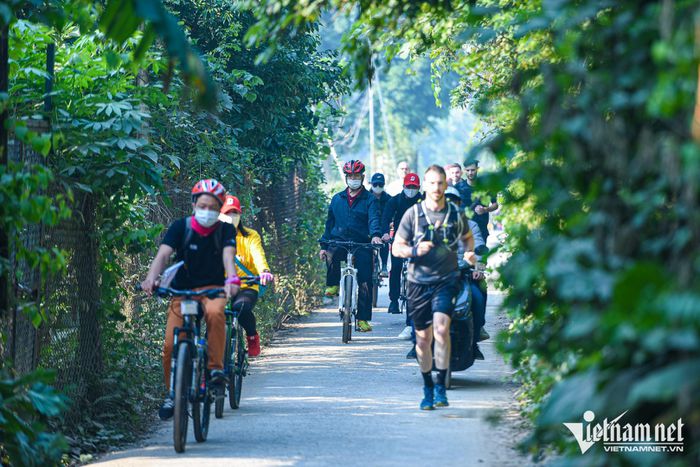 Du khách chi tiền triệu đạp xe ngắm vườn chuối, ruộng rau giữa Hà Nội - 12